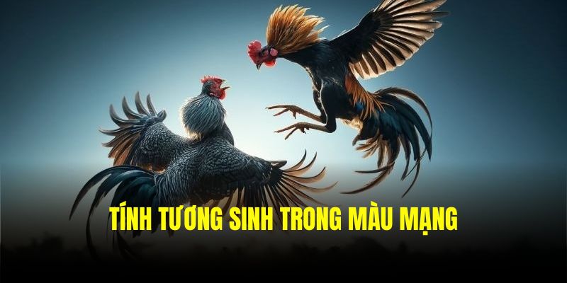 Tính tương sinh trong màu mạng
